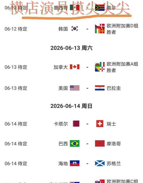 新手必看：世界杯竞猜网站用户反馈+直播详解 + World Cup 2026